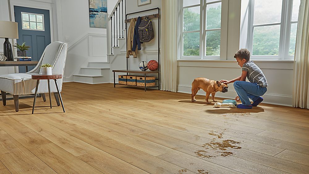Water resistant laminate flooring in a pet friendly living space